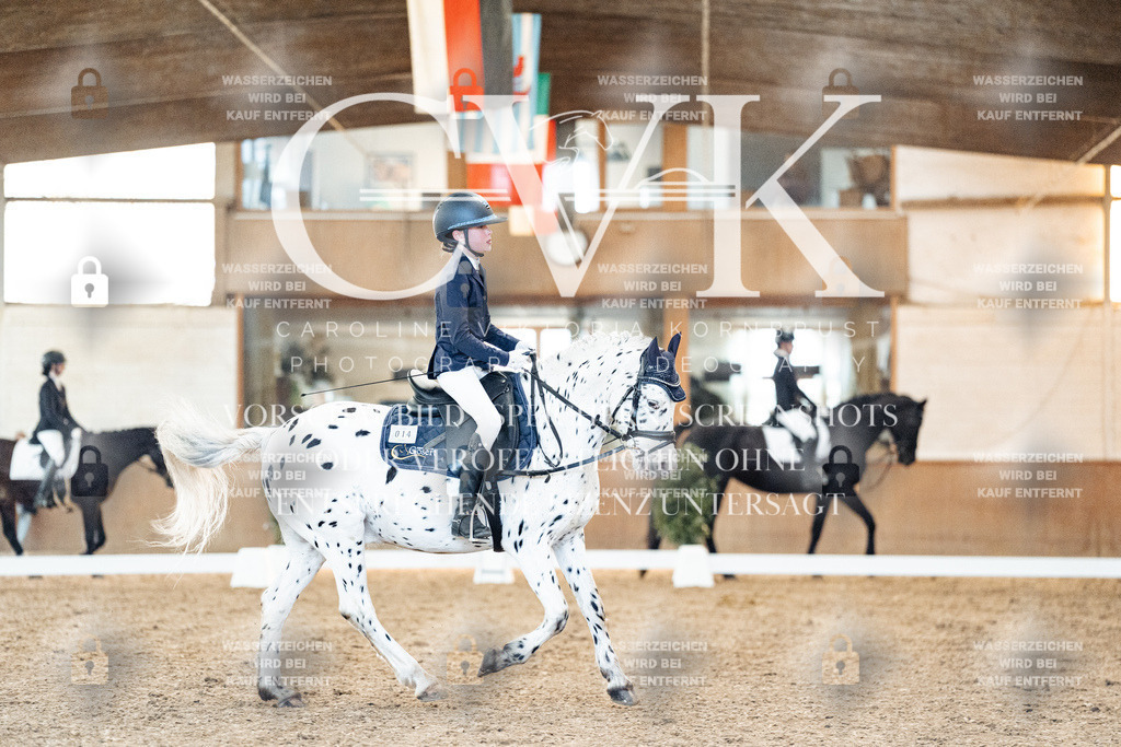 CK906848 | Turnierfotografie Pferdefotografie Trier Rheinland-Pfalz Pferdesport Reitsport Tierfotografie Sportfotografie Pferdevideo Pferdevideografie Equestrianvideography equestrianphotography  - Realisiert mit Pictrs.com
