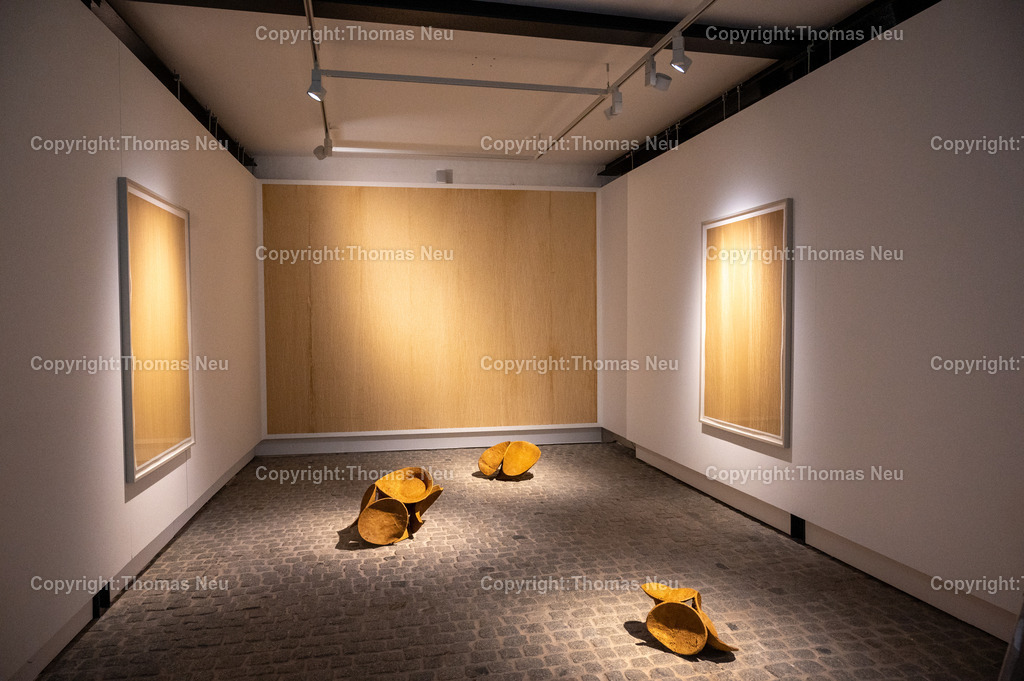 DSC_0562 | Jonas Wendelin zeigt großformatige Skulpturen und Rauminstallationen aus Ton und Lehm, basierend auf 3D‑Scans von organischen Materialien wie verrottenden Baumstämmen und archäologischen Gefäßen aus der Museums‑Sammlung. Diese Arbeiten thematisieren Material als Archiv und Informationsträger, Erosion und Zerstörung — sowohl formal als auch inhaltlich. Die Werke schaffen Spannungsfelder zwischen haptischer Realität und digitaler Wahrnehmung, und lassen Wahrnehmungskategorien wie natürlich oder künstlich verschwimmen. 
