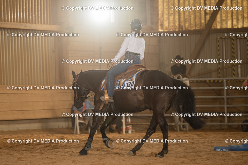 NID03696 | dv-media-shop - Realisiert mit Pictrs.com