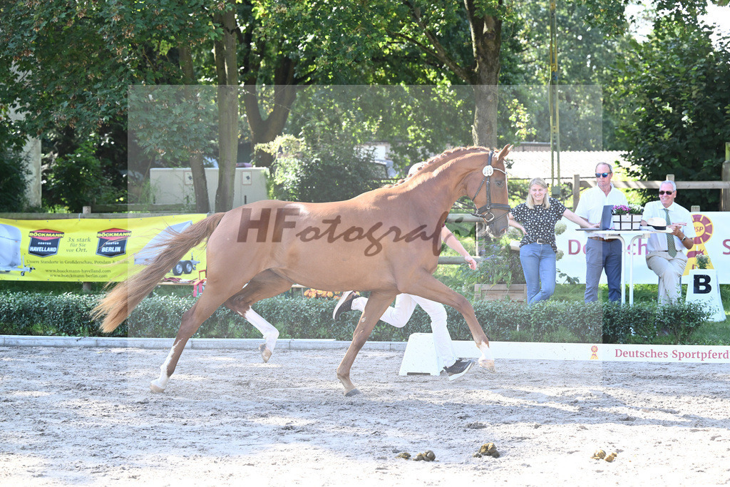 Kat-Nr. 19 Damons Girl_Binder_36230884 | hf-fotografie - Realisiert mit Pictrs.com