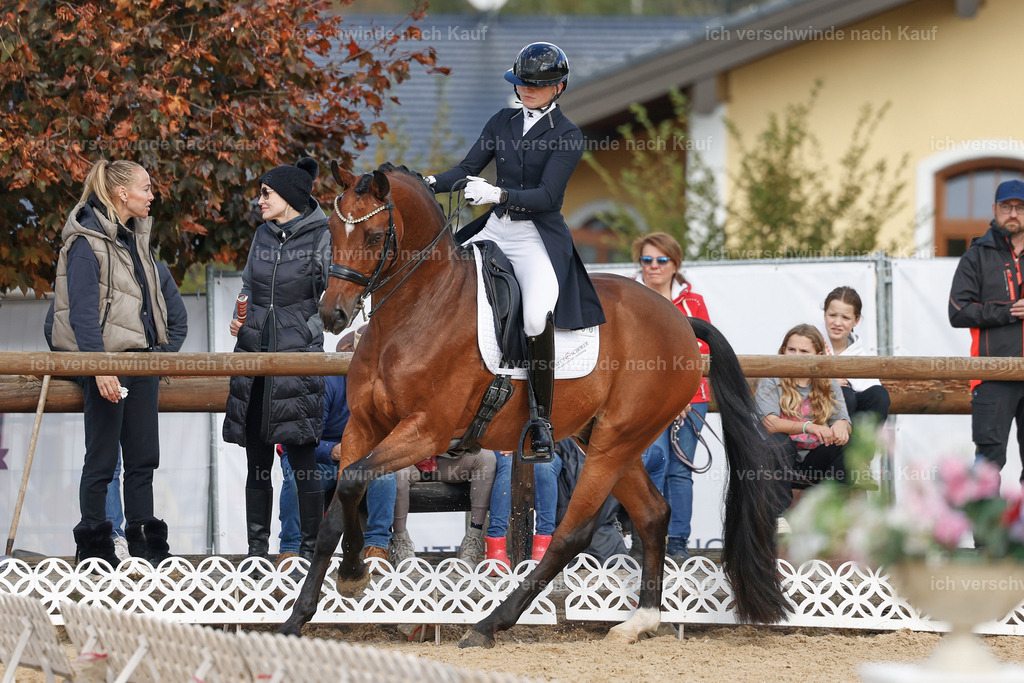 09_2-100-DRESSUR  S_  -StoibPH-5872 | working equitationturnier fotograf videograf stoibphotography marixx film working equitation deutschland reitsport turnierfotografie eventfotografie equestrian events