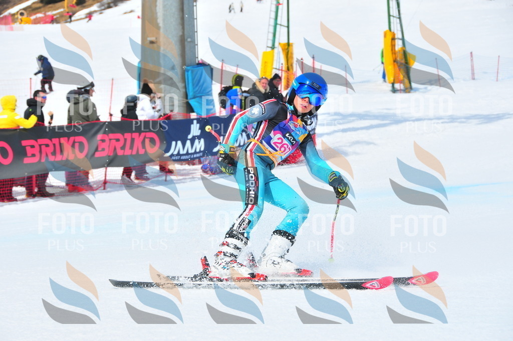 DSC_6246 | holidayphoto