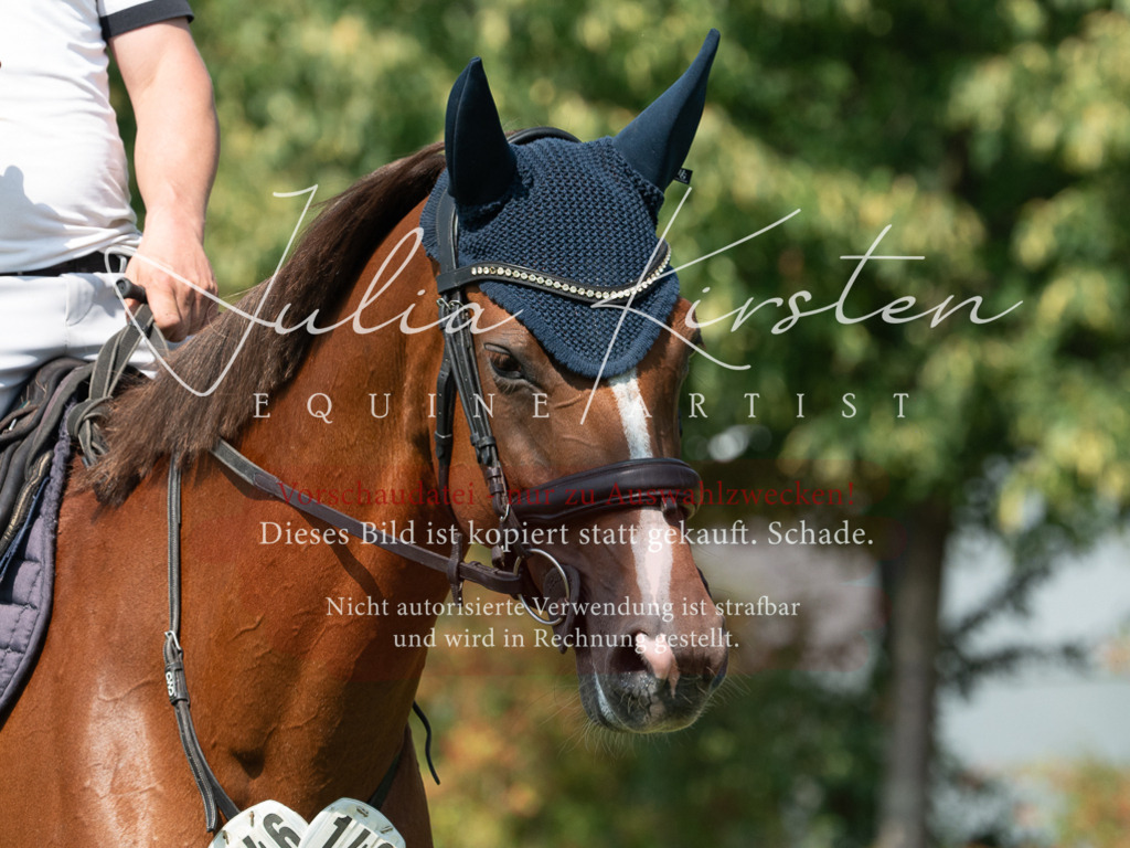 DSC_0637 | Pferde- und Turnierfotografie in Westsachsen. Pferdeportraits, Auftragszeichnungen und intuitive Kunst.
