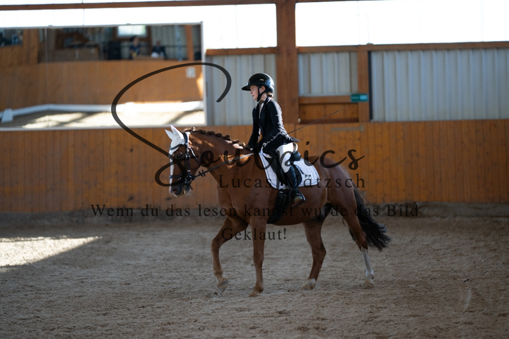 A7V01705 | Turnier/Reitfotograf