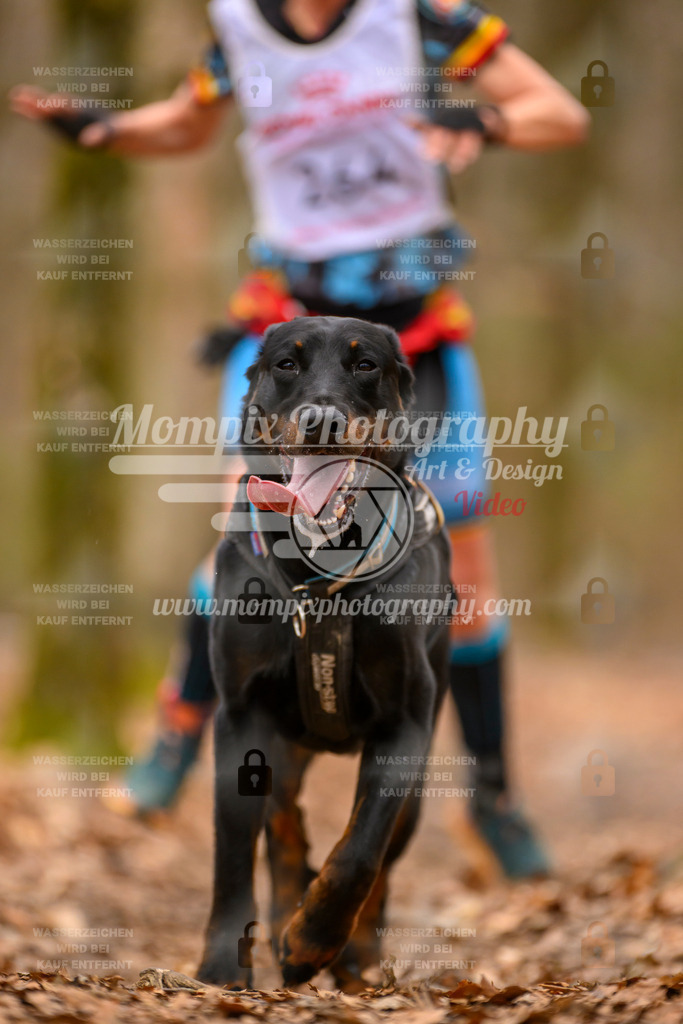 MompixPhotography_Habay2025_SA_CCC-53 | PayLife