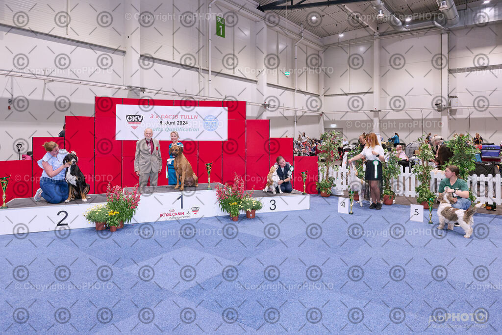 202406_ÖKV-IHA-Tulln24_NZ9_8715 | proPHOTO - Realisiert mit Pictrs.com