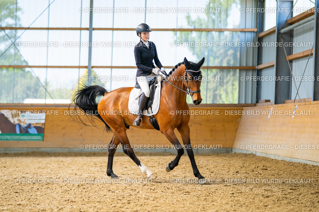 DSC09238 | Pferdegrafie