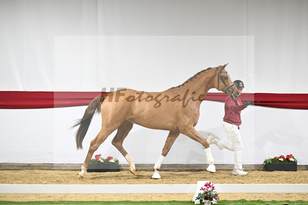 Kat-Nr. 52 v. Vivino_ZG Syha u Winkler_63221439 | hf-fotografie - Realizzato con Pictrs.com