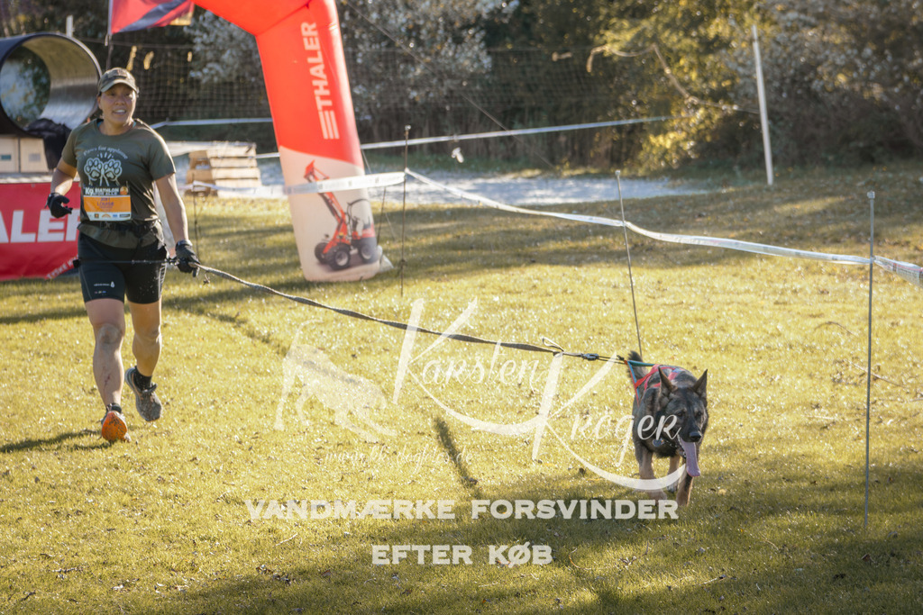1203_ZZ94416 | kk-dogfotos