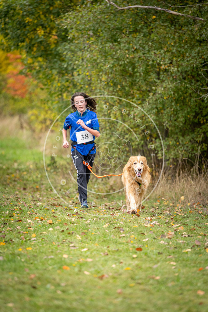 Pfotenfotografie_DV3A2230 | Hundefotografie, Tierfotograf, Pfotenfotografie, Fotoshooting Hund, Hunde Portrait, Hundesport, Hundeportraits, Heideshooting, Hunde, Sportfotograf, Hundefotograf, Turnierhundsport, THS,  - Realisiert mit Pictrs.com