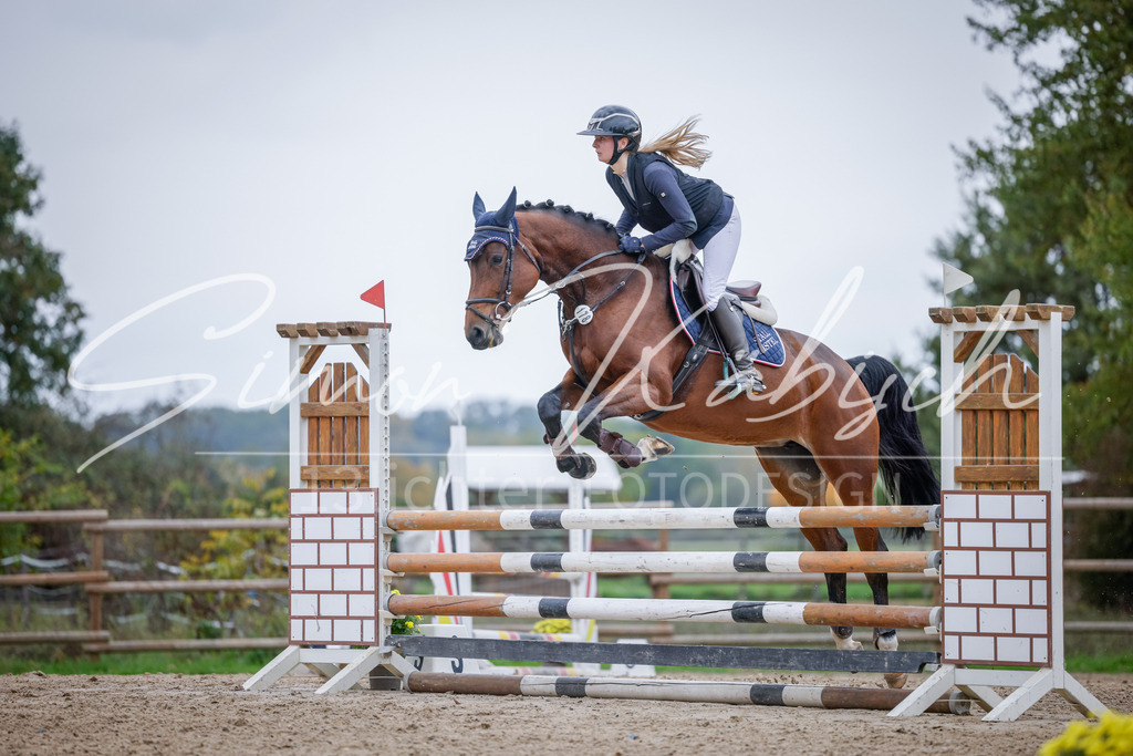 20251012-_3LI4103 | Tierfotografie Pferde, Hunde, Katzen, Haustiere.
Turnierfotografie Reitturniere, Reiten, Springreiten, Dressur in Hanau, dem Main-Kinzig-Kreis und dem Rhein-Main- Gebiet um Frankfurt