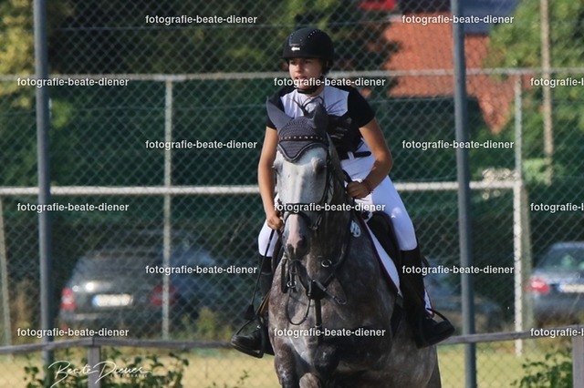 OHT 2022 Röhlingen (79) | Fotografie, Tiere, Hunde, Katzen, Pferde, Sportfotografie, Fotosession, Tierfotografie, Turnierfotografie, Fotografin, Fotograf - Realisiert mit Pictrs.com