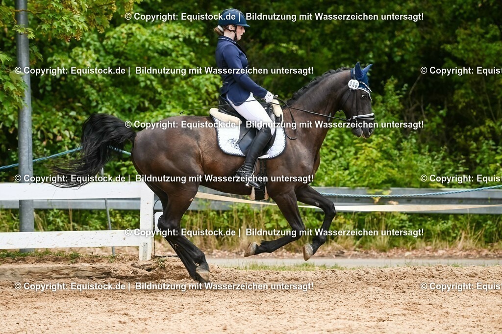 20230716_03_Dressurprfg. Kl.L - Tr._0636 | equistock