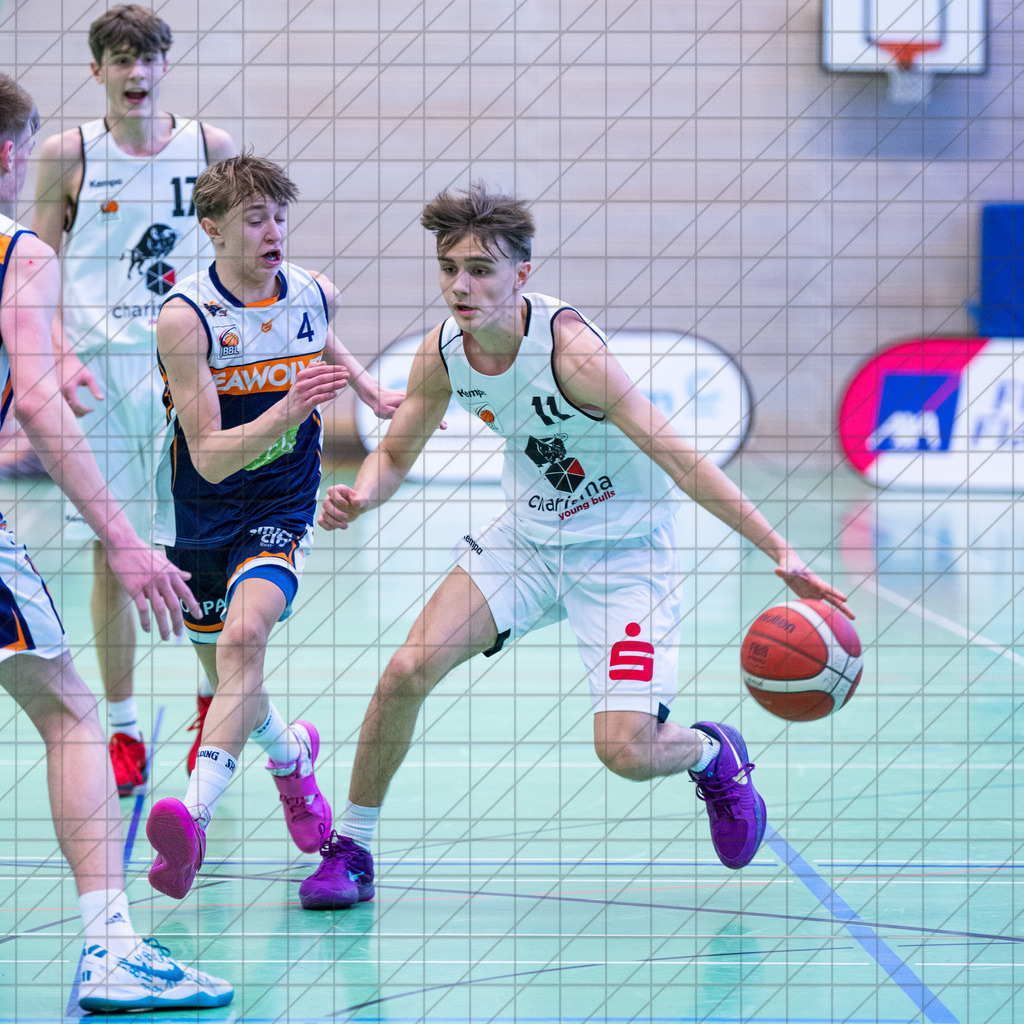 JBBL 24/25 | 19.01.2025 | Charisma Young Bulls vs. Rostock Seawolves | JBBL 24/25 | 19.01.2025 | Charisma Young Bulls vs. Rostock Seawolves - - - - - CREDIT, www.bullenfotos.de, Martin König, Hörner Weg 40, D-49078 Osnabrück, +4917663732967, Nutzung und Weitergabe nur zu den vereinbarten Zwecken. Presseanfragen an Urheber. Alle Rechte beim Urheber. - - - - - - Realisiert mit Pictrs.com