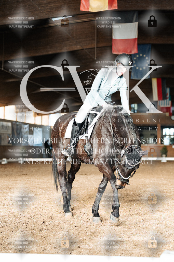 CK903239 | Turnierfotografie Pferdefotografie Trier Rheinland-Pfalz Pferdesport Reitsport Tierfotografie Sportfotografie Pferdevideo Pferdevideografie Equestrianvideography equestrianphotography  - Realisiert mit Pictrs.com