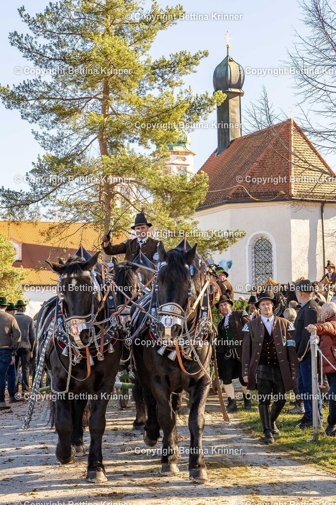 LBT25-1294 | foto-bettina-krinner - Realisiert mit Pictrs.com