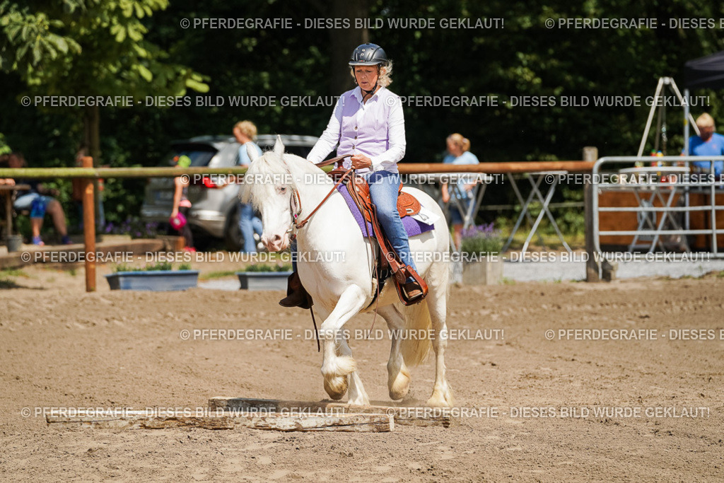 DSC07200 | Pferdegrafie