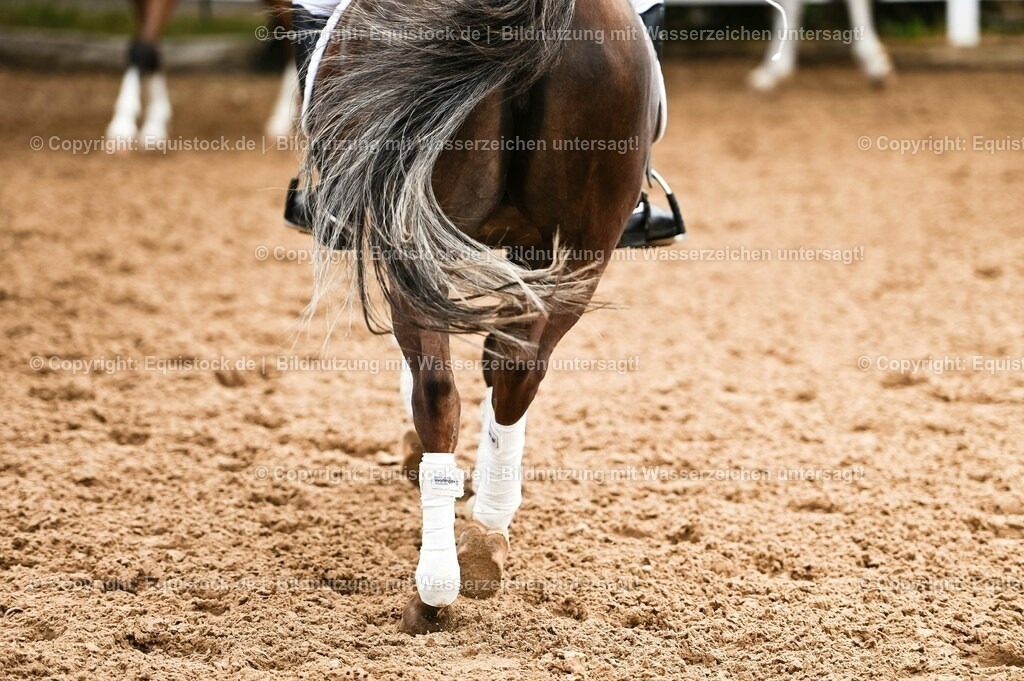 20230716_10-2_Reiter-WB Schritt - Trab - Galopp_0060 | equistock
