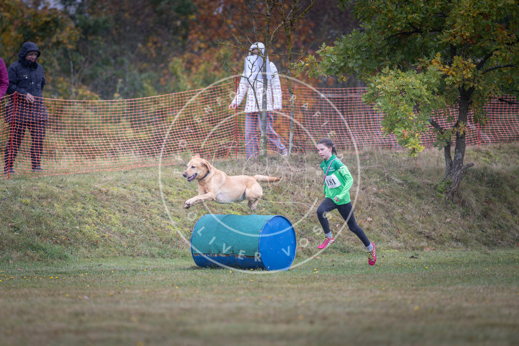 Pfotenfotografie_DV3A0316 | Hundefotografie, Tierfotograf, Pfotenfotografie, Fotoshooting Hund, Hunde Portrait, Hundesport, Hundeportraits, Heideshooting, Hunde, Sportfotograf, Hundefotograf, Turnierhundsport, THS,  - Realisiert mit Pictrs.com