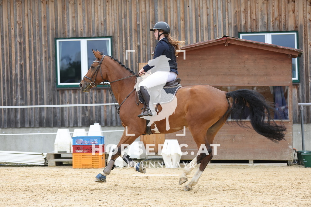 0P6A4002 | Willkommen bei Brunnmayr - Design & Fotografie – Ihrem Spezialisten für Reitturniere und Pferdeveranstaltungen in Oberösterreich, Salzburg und Bayern! Seit über 17 Jahren sind wir leidenschaftlich dabei.