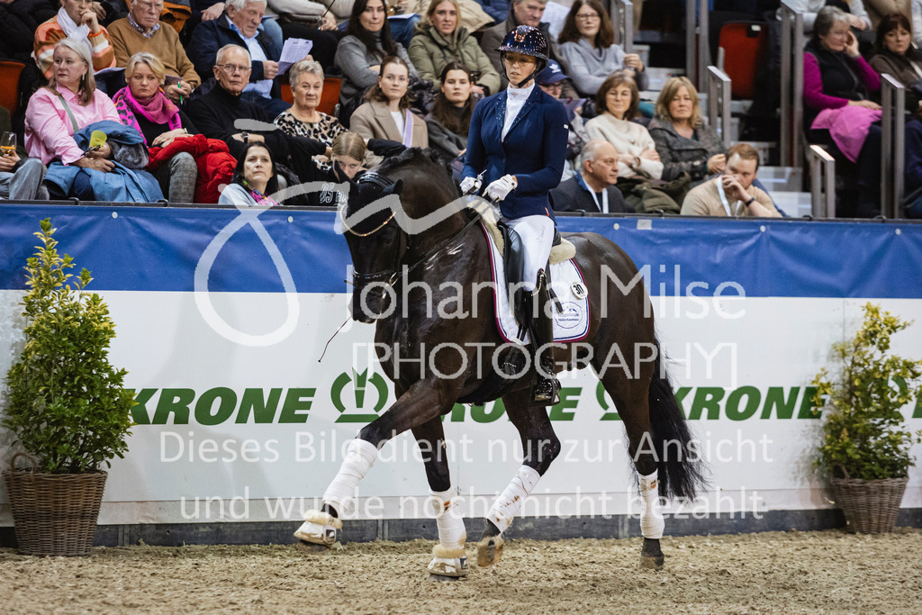 250108_Muenster_Hengstpräsentation-163 | Deine schönsten Turniermomente als professionelle Fotos! Entdecke hochwertige Pferdesport-Fotografie im Online-Shop. Jetzt Fotos finden & bestellen!