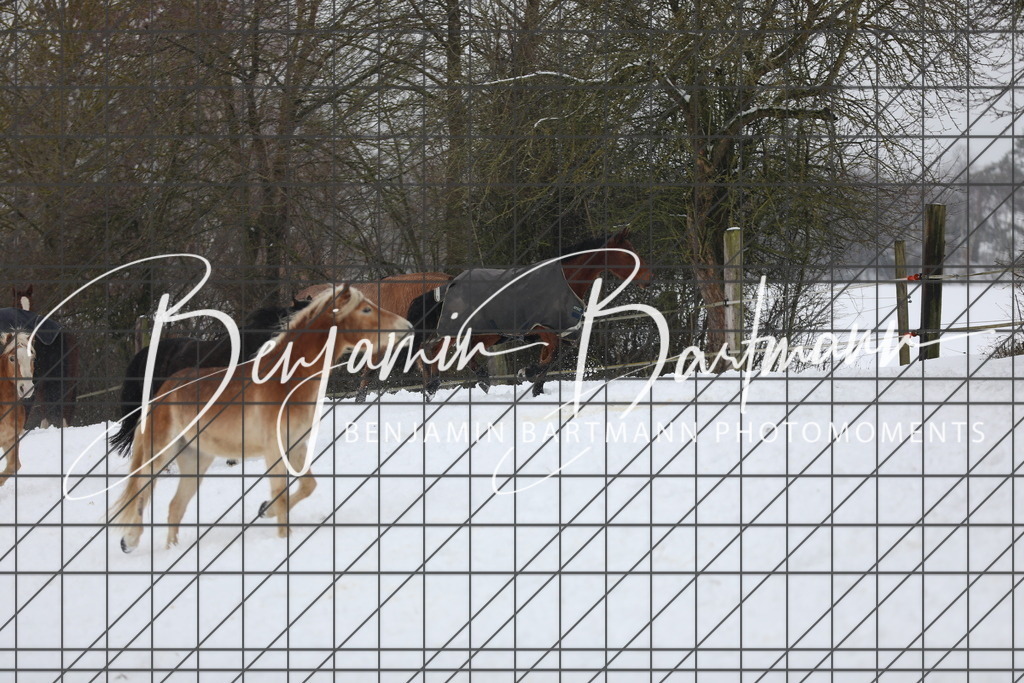 AZ2A3390 | Benjamin Bartmann Photomoments