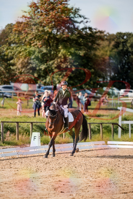 2026_10_03_Siefer-Hof_122908_Z63_50127268 | Professionelle Reitsport-, Turnier- und Eventfotografie von Robert Broda. Galerien mit ausgewählten und bearbeiteten Bildern direkt online ansehen und bestellen.