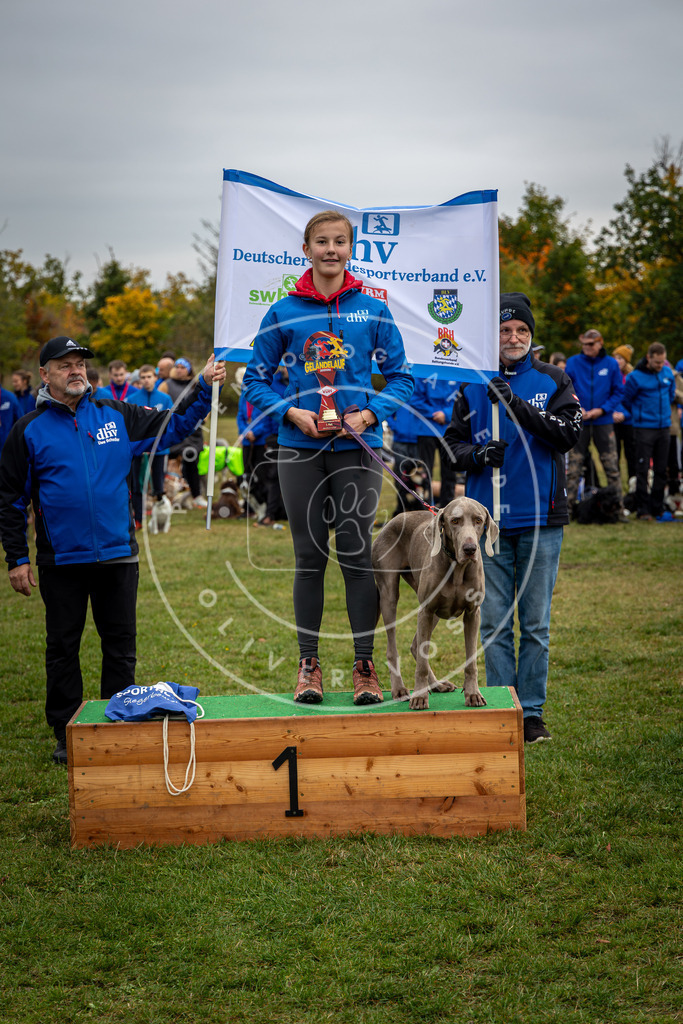 Pfotenfotografie_0L8A0430 | Hundefotografie, Tierfotograf, Pfotenfotografie, Fotoshooting Hund, Hunde Portrait, Hundesport, Hundeportraits, Heideshooting, Hunde, Sportfotograf, Hundefotograf, Turnierhundsport, THS,  - Realisiert mit Pictrs.com