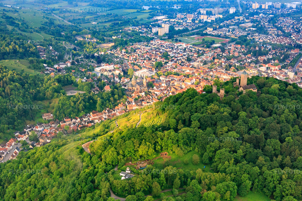 Luftbild: Weinreben unterhalb der Burgruine Starkenburg in Heppenheim im Bundesland Hessen in Deutschland. Foto: IMG_089221.jpg vom 25.05.2016 durch Werner Riehm/FLY-FOTO.deDJH Jugendherberge Starkenburg / Heppenheim