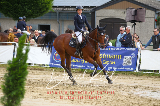 DKP41556 | Turniersportfotografie; Pferdefotografie; Dressurfotografie