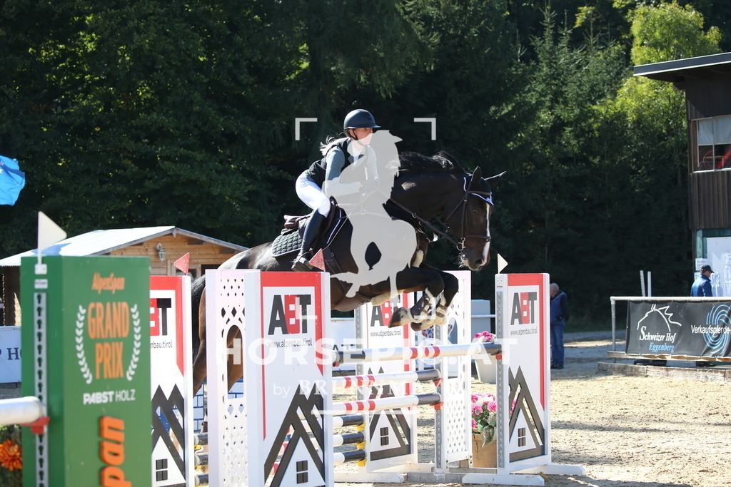 DL2Q2817 | Willkommen bei Brunnmayr - Design & Fotografie – Ihrem Spezialisten für Reitturniere und Pferdeveranstaltungen in Oberösterreich, Salzburg und Bayern! Seit über 17 Jahren sind wir leidenschaftlich dabei.