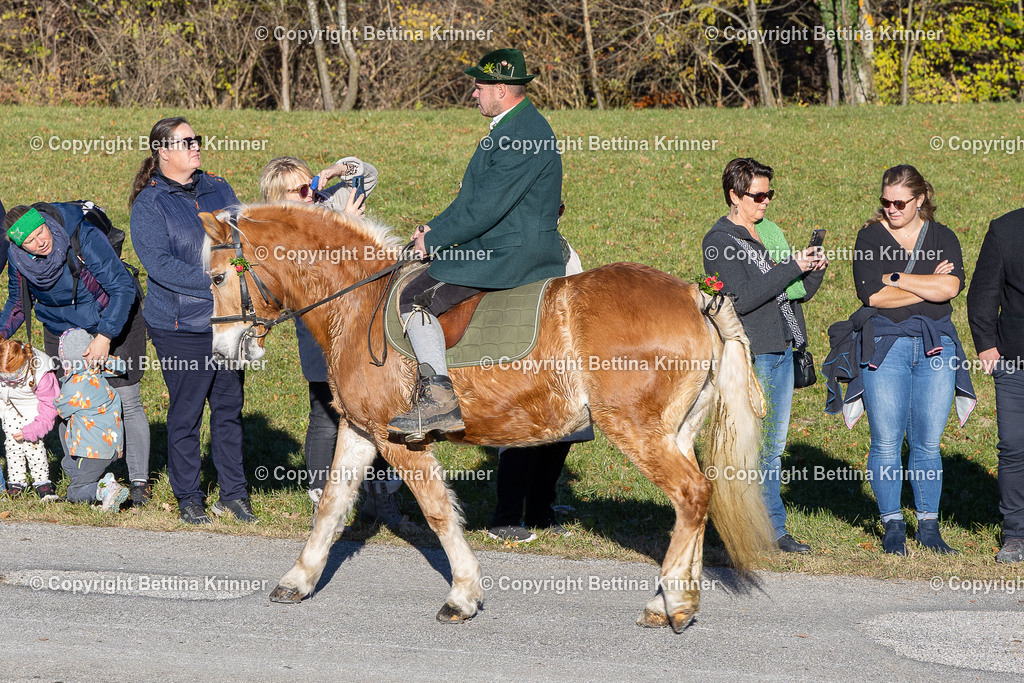 LBT25-49 | foto-bettina-krinner - Realisiert mit Pictrs.com