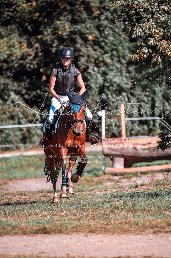 DSC_0947 | Pferde- und Turnierfotografie in Westsachsen. Pferdeportraits, Auftragszeichnungen und intuitive Kunst.