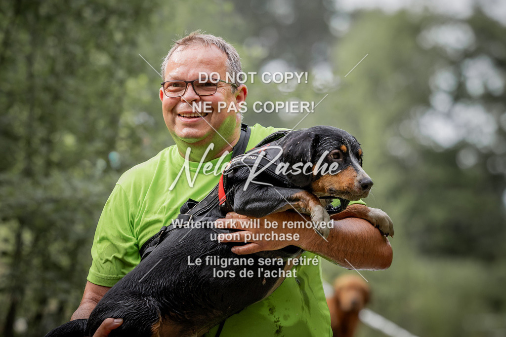 nelerasche_so0800-0930_168 | nelerasche