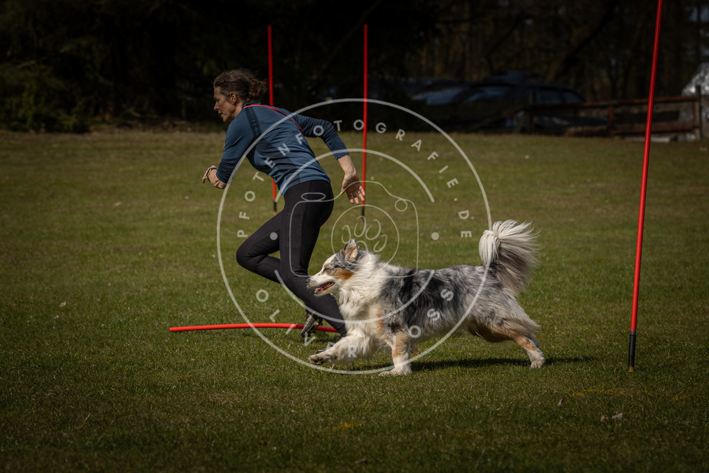 Pfotenfotografie_DV3A4282 | Hundefotografie, Tierfotograf, Pfotenfotografie, Fotoshooting Hund, Hunde Portrait, Hundesport, Hundeportraits, Heideshooting, Hunde, Sportfotograf, Hundefotograf, Turnierhundsport, THS,  - Realisiert mit Pictrs.com