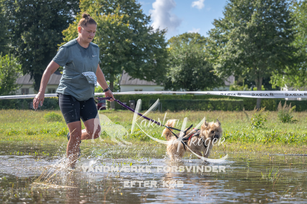 1207_ZZ90142 | kk-dogfotos