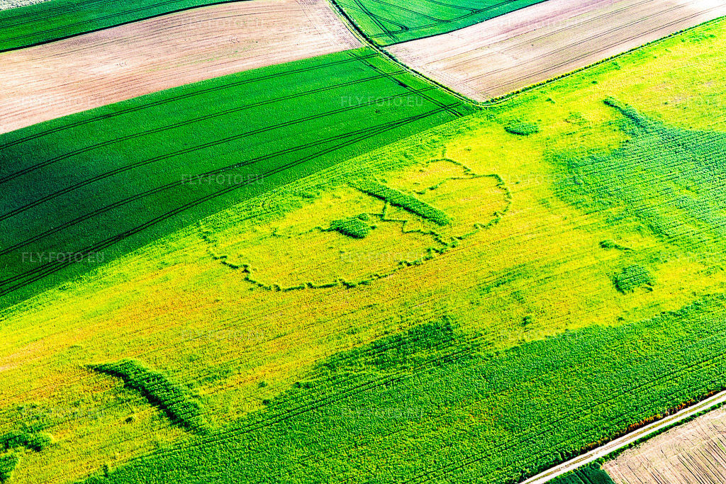 Vue aérienne: Vue de la ville à Seltz dans le département Bas Rhin, France. Photo: IMG_115031.jpg prise le 01/06/2019 par Werner Riehm/FLY-FOTO.eu – Résolution de l'original: 5472 x 3648 px