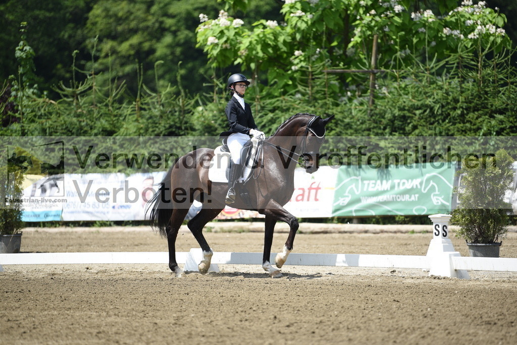 DSC_9802 | equestrian-live-com