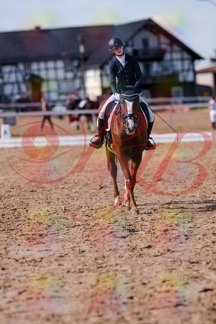 2026_10_03_Siefer-Hof_133318_Z81_91771318 | Professionelle Reitsport-, Turnier- und Eventfotografie von Robert Broda. Galerien mit ausgewählten und bearbeiteten Bildern direkt online ansehen und bestellen.