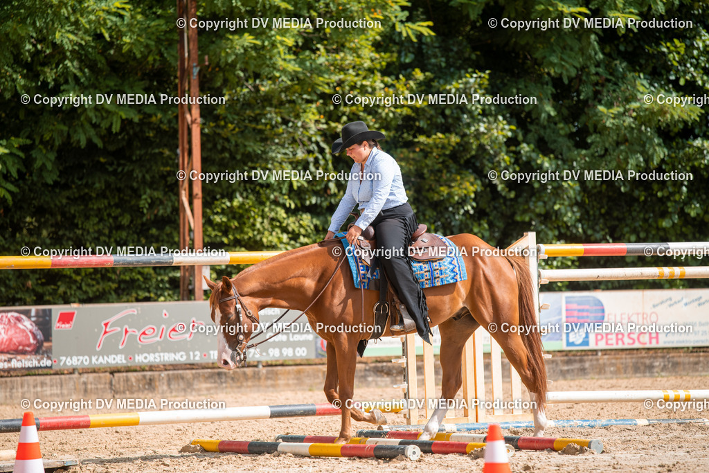 ZS3_9383 | dv-media-shop - Realisiert mit Pictrs.com