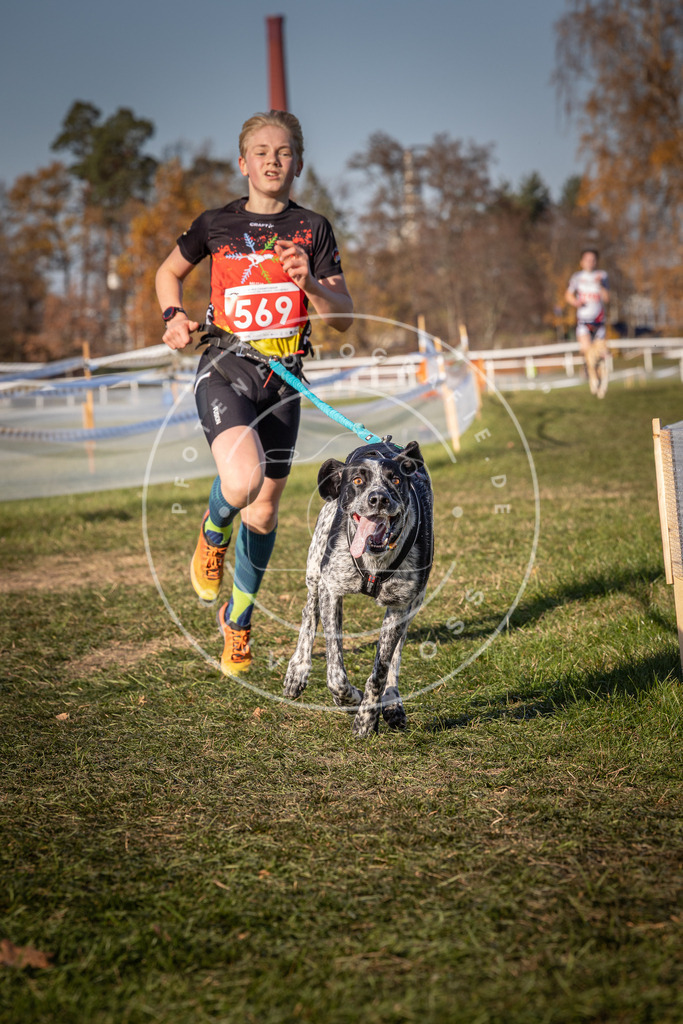 CaniXpix_0L8A8013 | Hundefotografie, Tierfotograf, Pfotenfotografie, Fotoshooting Hund, Hunde Portrait, Hundesport, Hundeportraits, Heideshooting, Hunde, Sportfotograf, Hundefotograf, Turnierhundsport, THS,  - Realisiert mit Pictrs.com