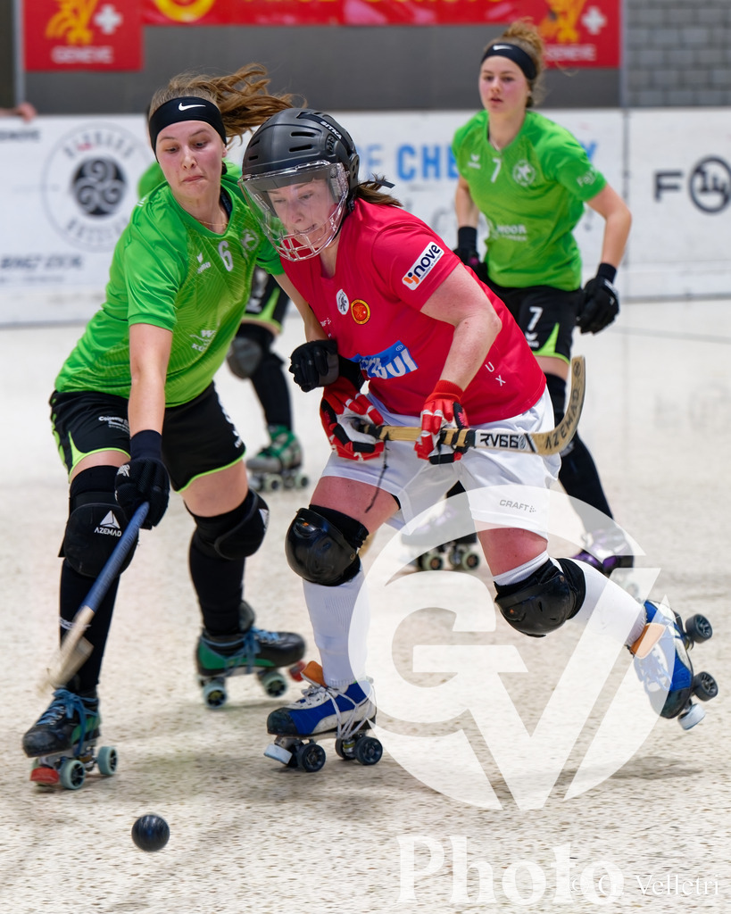 DZ8_7413 | Velletri Photo