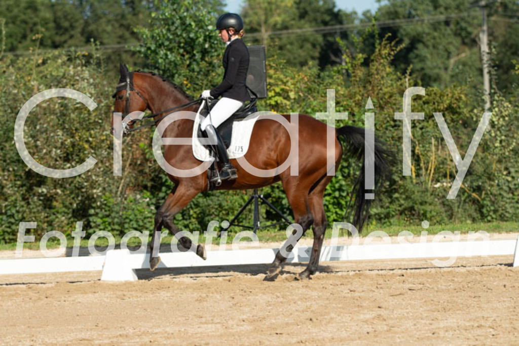 IMG_0947 | Creatify Fotografie