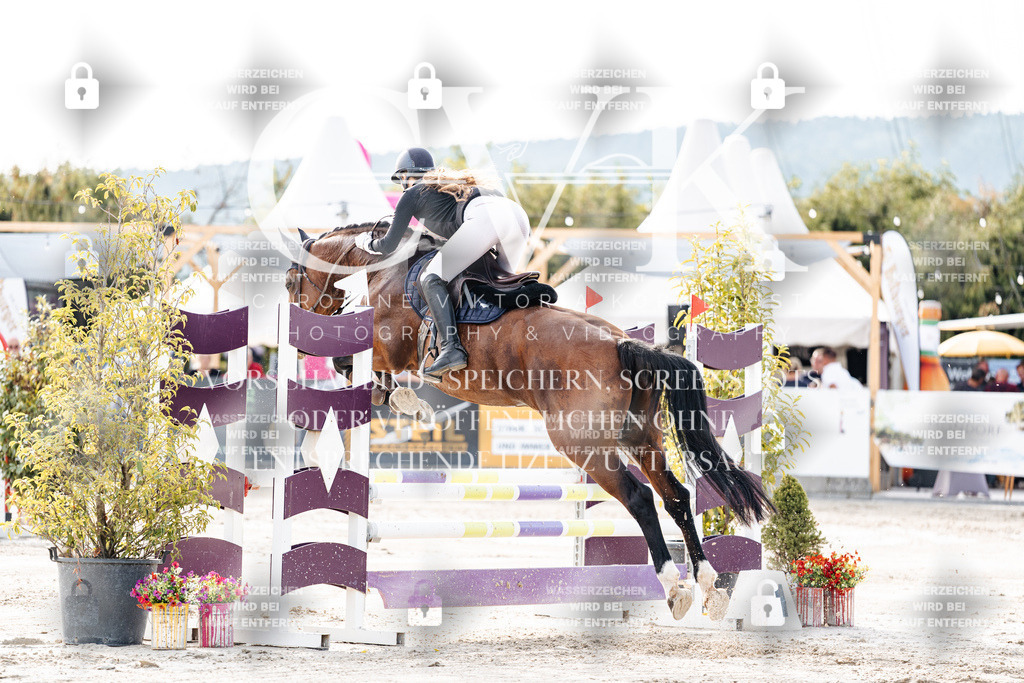 CK906447 | Turnierfotografie Pferdefotografie Trier Rheinland-Pfalz Pferdesport Reitsport Tierfotografie Sportfotografie Pferdevideo Pferdevideografie Equestrianvideography equestrianphotography  - Realisiert mit Pictrs.com