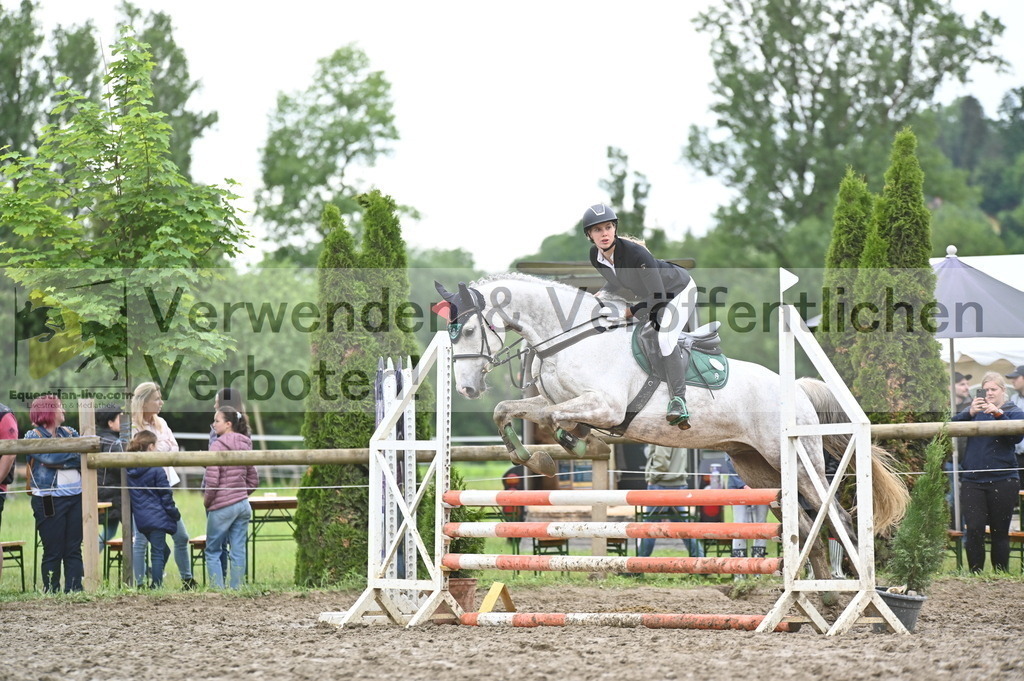 DSC_0558 | equestrian-live-com