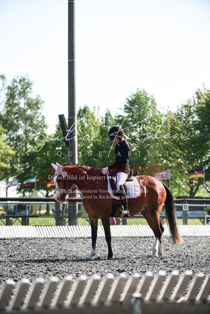 DSC_8728 | Pferde- und Turnierfotografie in Westsachsen. Pferdeportraits, Auftragszeichnungen und intuitive Kunst.