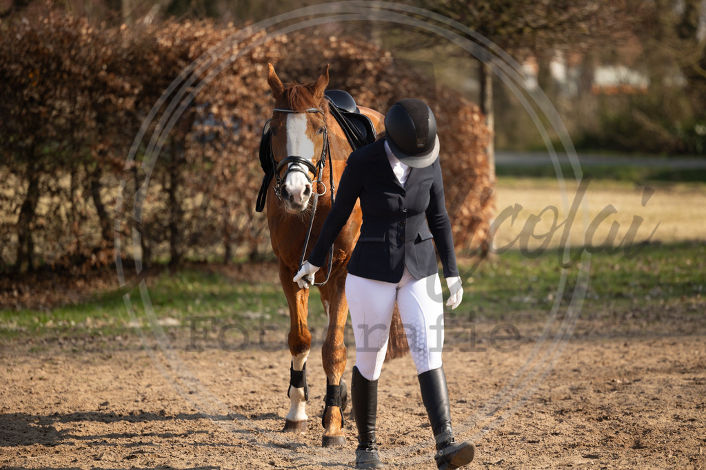 994A9706 | sabrinanicolaifotografie - Realisiert mit Pictrs.com