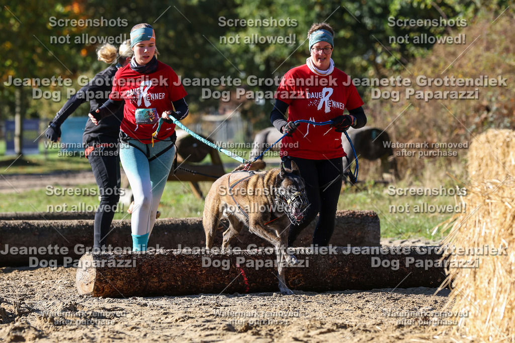 Dog Paparazzi - Strongdog 10-25-2780 | Dog Paparazzi Jeanette Grottendiek Fotografie & Videografie - Realisiert mit Pictrs.com