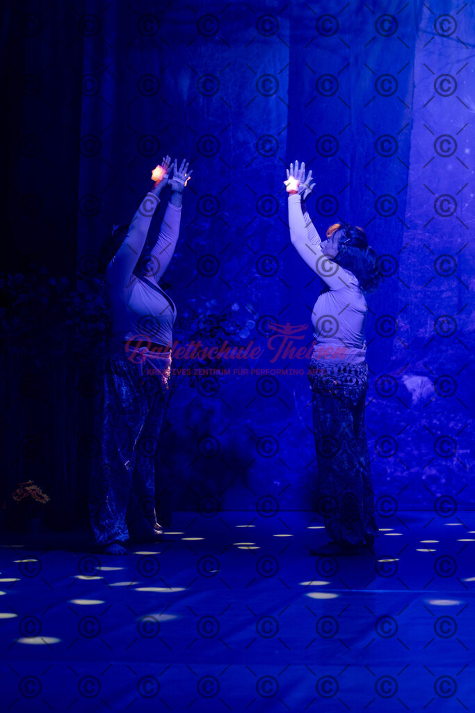 Ballettaufführung-813 | Bildershop Lem'n Entertainment - Realisiert mit Pictrs.com