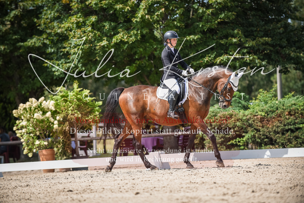 DSC_9298 | Pferde- und Turnierfotografie in Westsachsen. Pferdeportraits, Auftragszeichnungen und intuitive Kunst.
